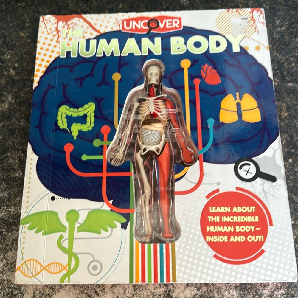 Children’s book on the Human Body